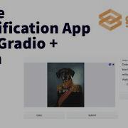 Building An Image Classification App With Gradio And Timm