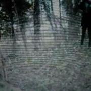 SOFT KILL FROM THIS POINT ON OFFICIAL MUSIC VIDEO