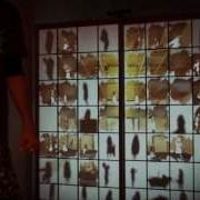 Shouji Ni Mary KINECT Projection Mapping On Shouji 障子プロジェクションマッピング