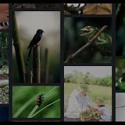 Responsive Image Gallery Using Bootstrap 5