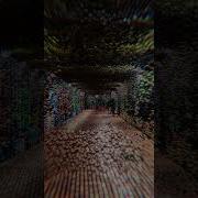 3D Point Cloud In Unity HDRP VFX Graph Subway In Florence