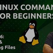 Linux Commands For Beginners 06 Moving And Renaming Files
