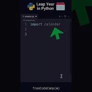 Python Power Up Leap Year
