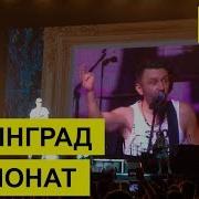 Ленинград Экспонат Live