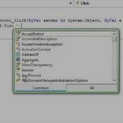 Visual Basic 2008 How To Make Pass Protected Form Basic