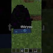 Секретная особенность яйца дракона в Minecraft
