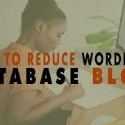 How To Reduce WordPress Database Bloat WP The Podcast EP 635