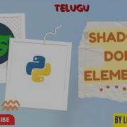 Python Playwright 2023 Part 13 Handle ShadowDom ELement In Playwright Telugu