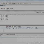 4 7 Working With Boolean Values