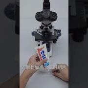 What Is The Microscopic World In Toothpaste Like SWIFT Microscope Zooms In To Reveal The Answer