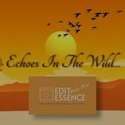 ECHOES IN THE WILD I EDIT ESSENCE MOTION MUSE I ANIMATION FILM 2024