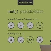 Not CSS Pseudo Class Selector Exercise CSS Selectors Css Cssselectors