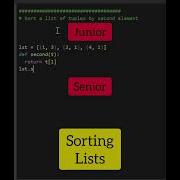 Junior Vs Senior Python Developer Shorts Python Programming Coding