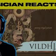 Musician Reacts To Vildhjarta Penny Royal Poison