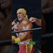 Hulk Turned To The NWO