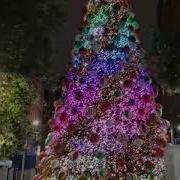 Programming Christmas Tree