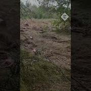 Ukrainian Soldier Detonates Mine With A Large Stick