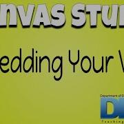 Canvas Studio How To Embed Video On A Page