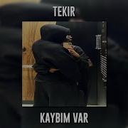 Tekir Kaybım Var Speed Up