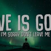 SLANDER Love Is Gone Lyrics Ft Dylan Matthew Acoustic I M Sorry Don T Leave Me