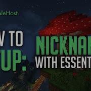 How To Setup Nicknames With Essentials On Your Server