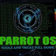 Parrot OS полное руководство для новичков и профессионалов Инструменты и хитрости за 17 минут