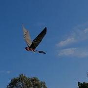 Real Flying RC Toothless Modified Second Flight