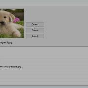 C Tutorial How To Save And Retrieve Image From Database FoxLearn