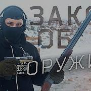 Взгляд на гражданское оружие в России ЗАКОН ОБ ОРУЖИИ 2024
