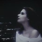 Nilüfer Kavak Yelleri