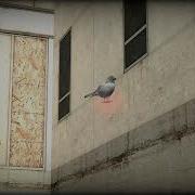 HL2 Pigeon Is A Manhack