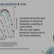 PSC3008 CSFtemporal