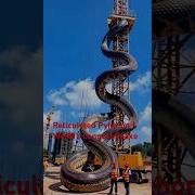 Reticulated Python World S Longest Snake