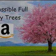All Possible Full Binary Trees LeetCode 894 Python