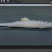 Fish 1 UE4 Animation