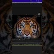 Learn How To Add Movement To Still Images With LoopFlow After Effects Plugin