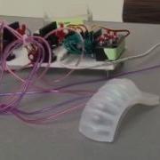 Soft Robotics Inchworm