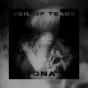 DNA Veil Of Tears