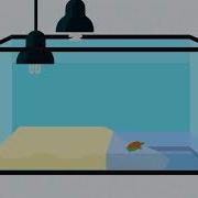 How To Keep Your Turtle Happy