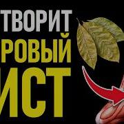Тело ОЖИВЕТ уже на 3 день Простой метод доступный КАЖДОМУ