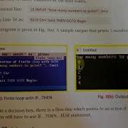 3 10 2020 Class 7 Sub Computer Chapter 6 Conditional Statement In QB64