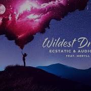 Ecstatic Audiotricz Ft MERYLL Wildest Dreams Official Lyric Video
