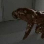 Star Trek Deep Space 9 DS9 Dog Morph 2