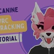 Mini Canine VRChat Face Tracking Tutorial