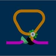 RNA Splicing
