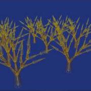 Skeletal Animation Of L System Trees