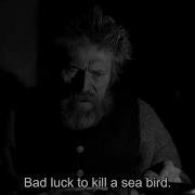 The Lighthouse Bad Luck To Kill A Sea Bird