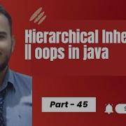 Hierarchical Inheritance Oops Concepts Java Inheritance