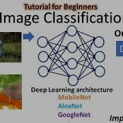 Deep Learning Image Classification Tutorial Step By Step For Beginners Python TensorFlow