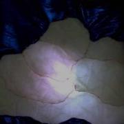 Fadecandy Cloud Test 4